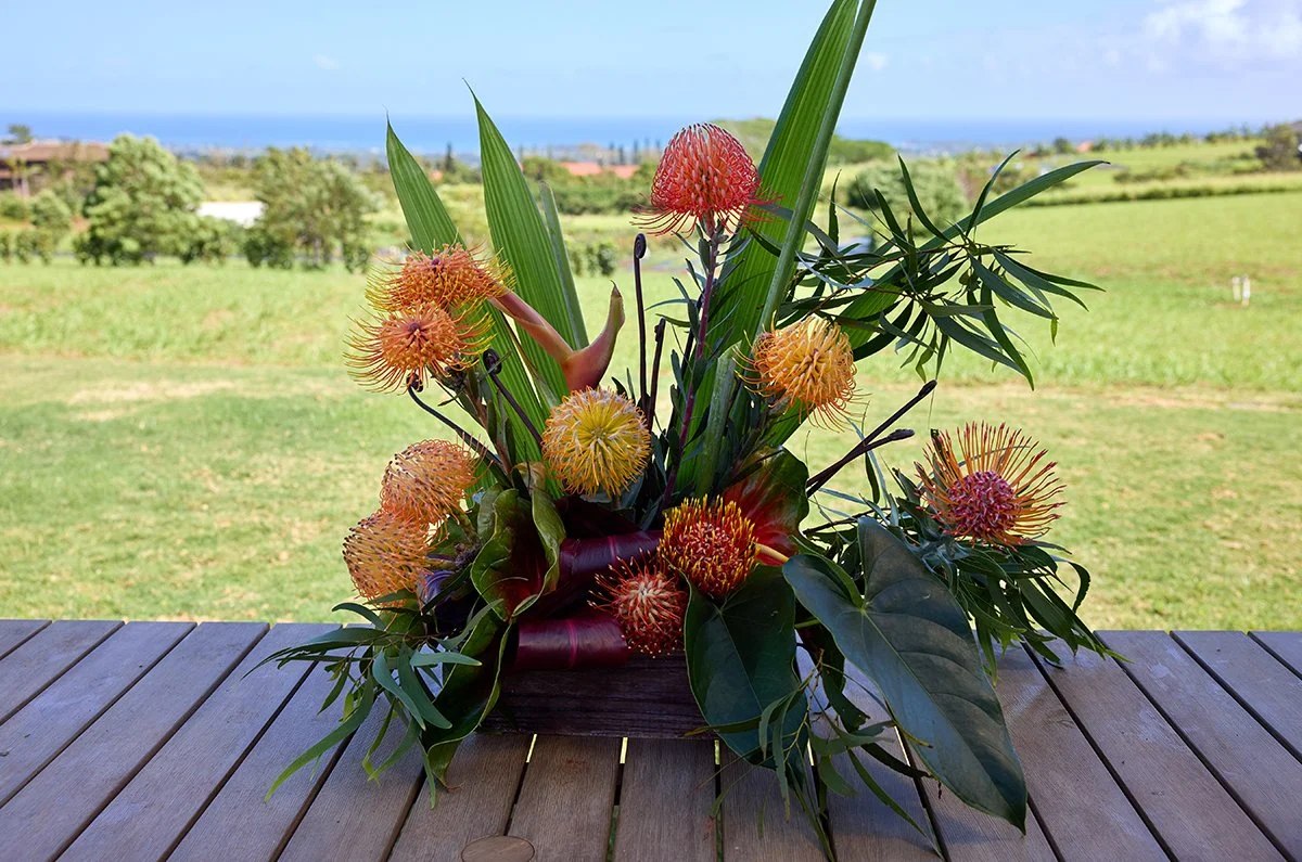 Arranging Pin Cushing Protea- On Location at Two Bees Protea Farm